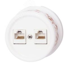 Розетка Лизетта RJ45 информационная двойная, керамика, цвет белый, декор D6/2 Бирони B1-302-01-D6/2