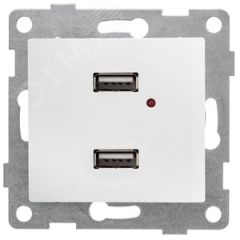 GUSI Bravo механизм розетки USB,  двойной,  скрытая  установка. Цвет  белый. GUSI Electric С10USB2-001