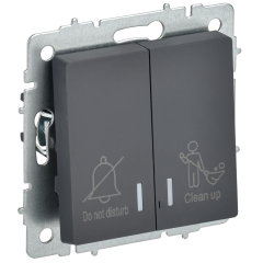 BRITE Выключатель 2-клавишный с индикацией для отелей 10А ВС10-2-9-БрГ графит IEK