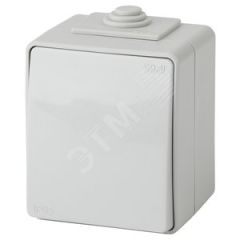 Выключатель IP65, 10АХ-250В, ОУ, Эра Эксперт, серый,11-1601-03 ЭРА Б0035972