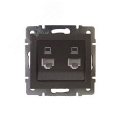 Розетка RAIN компьютерная 2-ая черный графит матовый механизм Lezard 703-4188-141