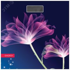 Весы напольные электронные EN-419G Energy ВиК 003843