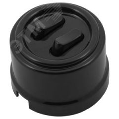 Выключатель Лизетта 2-кл., пластик, цвет Черный (клавишный) Бирони B1-222-23