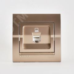 DERIY Розетка компьютерная светло-коричневая металлик Lezard 702-3131-139