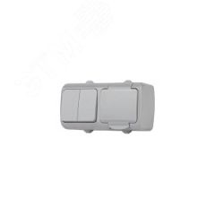 Блок розетка с выключателем Intro Atlantic 5-702-03 двойным 2P+E, 10(16)А-250В, открытой установки, IP54, серый ЭРА Б0050948