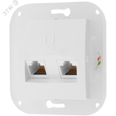 Беларусь Розетка двухместная узел компьютерная в рамку БелТИЗ РК216-011