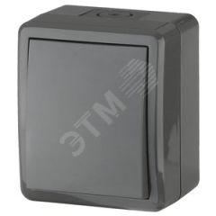 Переключатель IP54, 10АХ-250В, ОУ, Эра Эксперт, серый,11-1403-03 ЭРА Б0020674