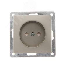 W59 Розетка скрытая без заземления в рамку  шампань SE (Systeme) RS16-151-4-86