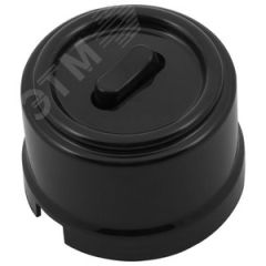 Выключатель Лизетта 1-кл. проходной, пластик, цвет Черный (клавишный) Бирони B1-221-23