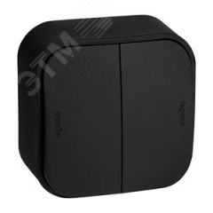Выключатель двухклавишный - Legrand Quteo - IP20 10А 250В винтовые зажимы накладной монтаж - чёрный матовый Daccord/Legrand 782474