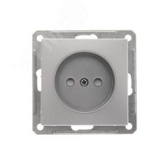W59 Розетка скрытая без заземления  в рамку матовый хром SE (Systeme) RS16-151-5-86