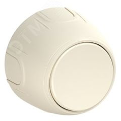 Выключатель одинарный  Rotondo, цвет бежевый OneKeyElectro 7700847