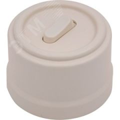 Кнопка (одноклавишная), пластик, цвет Песочное золото Бирони B1-220-24-PB