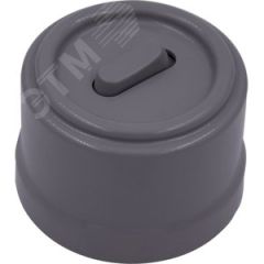 Выключатель Лизетта 1-кл. проходной, пластик, цвет Титан (клавишный) Бирони B1-220-26-PB