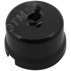 Выключатель Лизетта 1-кл., пластик, цвет Черный (тумблерный) Бирони B1-230-23