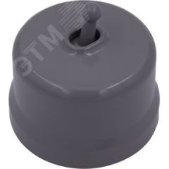 Выключатель Лизетта 1-кл., пластик, цвет Титан (тумблерный) Бирони B1-230-26