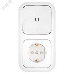 Беларусь Блок скрытый: выключатель двухклавишный с индикатором + розетка БелТИЗ 2В-РЦ-683