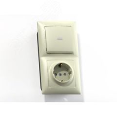 СЕЛЕНА Блок комбинированный с/у выключатель одноклавишный +розетка 2К+З  з/ш БКВР-423, сл.кость Кунцево 8182