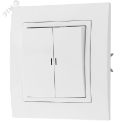 Беларусь Выкл 2-кл скр с индик БелТИЗ C5 10-867