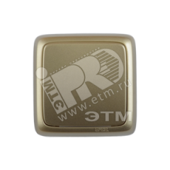 Переключатель одноклавишный наружный с изоляционной пластиной золото 10А HEGEL ВА10-163-07