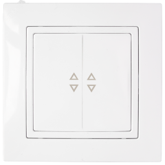 Беларусь Выключатель двухклавишный скрытый для управления цепями с 2-х и более мест БелТИЗ С(6+6) 10-870