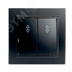 Переключатель двухклавишный, 250В, 10А, серия Эрна, черный Stekker STEKKER PSW10-9008-03 39921