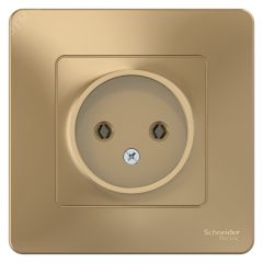 BLANCA скрытой установки розетка без заземления без шторок 16А, 250В, титан SE (Systeme) BLNRS000014