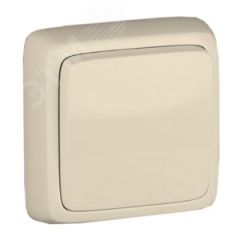 Выключатель одноклавишный наружный с изоляционной пластиной слоновая кость 10А HEGEL ВА10-113-01