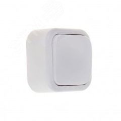 Валентина Выключатель открытой установки          одноклавишный  А16-038 Кунцево 7630