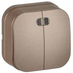 GLORY Выключатель 2-клавишный для открытой установки с индикацией 10А ВС20-2-1-ХШм шампань матовый IEK