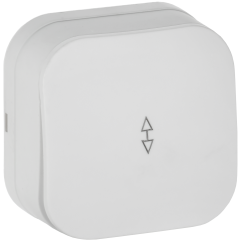 GLORY Выключатель 1-клавишный для открытой установки проходной 10А ВСп10-1-0-ХБм белый матовый IEK