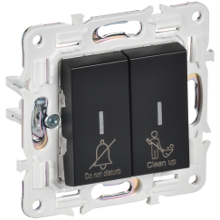 SKANDY Выключатель 2-клавишный с индикацией для отелей 10А SK-V16Bl черный IEK