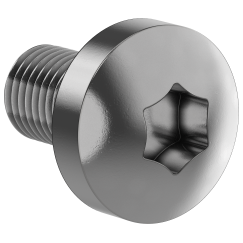 FORMAT Винт М6х10 самонарезающий полукруглая головка шестирадиусный шлиц TORX30 DIN 7500С (500шт/упак) IEK