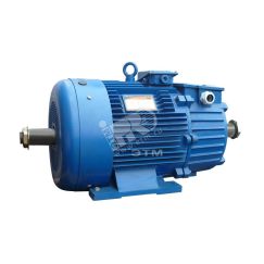 Электродвигатель 5MTH 400 S10 110/600 IM 1004 Elcom 01.03.01.000547