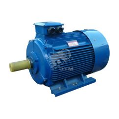 Электродвигатель 5АИ 355 М10 110/600 IM 1001 Elcom 01.01.213495