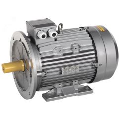 Электродвигатель трехфазный АИС 315M2 660В 132кВт 3000об/мин 2081 DRIVE ONI AIS315-M2-132-0-3020
