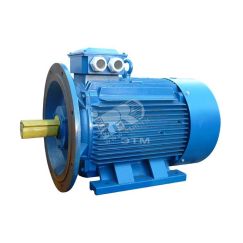 Электродвигатель 5АИ 280 М2 132/3000 IM 2001 Elcom 01.01.214284