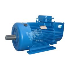 Электродвигатель 5MTH 200 LB8 22/750 IM 1003 Elcom 01.03.01.000189