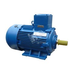 Электродвигатель взрывозащищенный АИМУ 200 L8 22/750 IM 1001 Орлан Elcom 01.02.02.000684