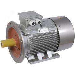 Электродвигатель трехфазный АИР 280S8 660В 55кВт 750об/мин 2081 DRIVE ONI DRV280-S8-055-0-0720
