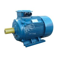 Электродвигатель 5АИ 250 М6 55/1000 IM 1001 Elcom 01.01.213758