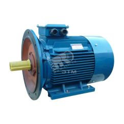 Электродвигатель 5АИ 225 М2 55/3000 IM 2001 Elcom 01.01.213660