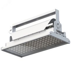 Светильник светодиодный ДО-200Вт Эверикс LED-200-К30.4-IP66-У1(1/LIRA/840/RAL7035/TG/AC230/D/Х/G1) Лихославльский з-д 20735