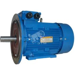 Электродвигатель 5АИ 100 L2 5.5/3000 IM 3081 Elcom 01.01.213679