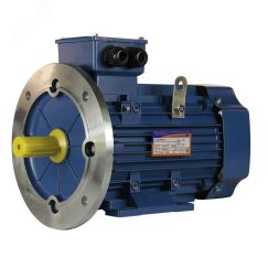 Электродвигатель 5АИ 100 S4 3/1500 IM 2081 Elcom 01.01.213557