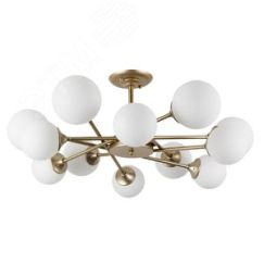 Люстра MARCO Arte Lamp A2703PL-12SG