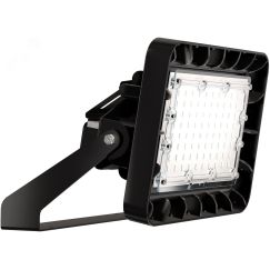 Светильник светодиодный ДО-101,9W IP67 15538Лм 5000К КСС D FL (TL-PROM APS 100 750 FL D120) Технологии света УТ000019484