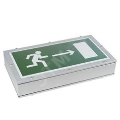 Световой указатель BS-FLAGMAN-51-S1-INEXI2 Белый свет a16720