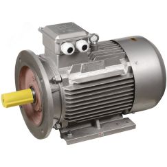 Электродвигатель трехфазный АИР 112MA6 380В 3кВт 1000 об/мин 2081 DRIVE ONI DRV112-M6-003-0-1020