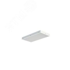 Светильник TL224 OL EM1 IP54 TECHNOLUX 17682